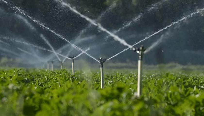 Functional Sustainability: How Using TELONE™ Can Lower Water and Fertilizer Inputs